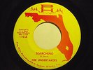 THE UNDERTAKERS searching / reason why PH 110 rare Florida GARAGE 45 ex HEAR IT