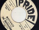 CA Rockin surf instros The Motivations PRIDE 301 (( ? )) The birds / Motivate