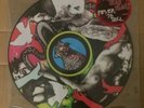 YEAH YEAH YEAHS Fever To Tell 2003 US Vinyl LP picture disc NEW Karen O Maps