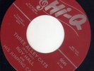 MI Rockabilly Roy Hall FORTUNE / Hi-Q 5045 (( ? )) Three alley cats