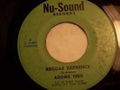 ADOMS TREO / EQUITABLES Reggae Exprence 45 Nu-Sound VG+ REGGAE ISLAND FUNK SOUL