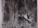 WILL-O-THE WISP:  A Gift For Your Dreams LP (Greece, 180 gram pressing, gatefol