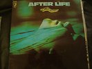 AFTER LIFE - CAUCHEMAR -  SPAIN ONLY FRENCH PSYCH PROG ROCK LP- HEAR