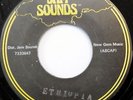 IN CROWD 45 Born in Ethiopia JAM SOUNDS Reggae dub Pre-release     c1228