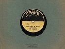 THE ROBINS DOO WOP 78 