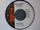 Five Royales Baby Don't Do It / There's Somebody Over Here Todd 1088 EX Northern