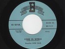 '58 Rockabilly/Rockaballad DON ELLIS Come In World/Blue Diamonds BEE M- HEAR NOW