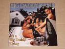 BIG DADDY KANE -It's A Big Daddy Thing- LP