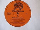 SVANFRIDUR What's Hidden There? ORIG 1972 ICELAND PROG PSYCH  DISC ONLY