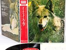 (CURVED AIR) WOLF canis lupus JAPAN orig LP rare  [FREE P+P]