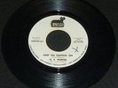 NORTHERN SOUL N F Porter - Keep On Keeping On - Lizard Demo
