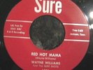 HEAR Rare Rockabilly RE Wayne Williams - Red Hot Mama- Sure 45 Mariano 70's RE