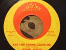 Jessie James - Are You Gonna Leave Me / Someone to Love Me Northern Soul Ballad