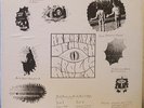 FROLK HAVEN At the Apex of High LP Psych/Experimental Rock, Stewart Copeland ’73
