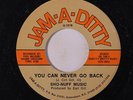 SHO-NUFF MUSIC: You Can Never Go Back / Don't Lose The Groove 45 Soul