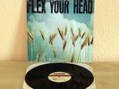 FLEX YOUR HEAD-LP-TEEN IDLES-MINOR THREAT-YOUTH BRIGADE-IRON CROSS-SXE-PUNK-HC-
