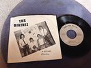 THE BIKINIS rare US 1979 PUNK / POWER POP /  KBD / PRIVATE PRESSING / NM VINYL 