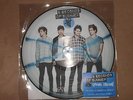 5 SECONDS OF SUMMER RARE MINT BLACK FRIDAY RECORD STORE DAY PICTURE DISC VINYL