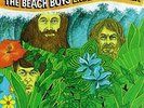 The Beach Boys Endless Summer New Vinyl LP
