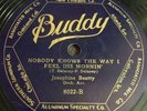 Buddy 8022 Alberta Hunter Louis Armstrong Sidney Bechet Nobody Knows Blues 78 