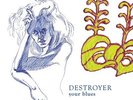 Destroyer - Your Blues