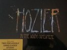 Hozier 