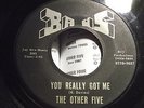 THE OTHER FIVE you really got me BAUS kinks MUNCIE INDIANA GARAGE 45 vg+ HEAR IT