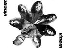 vinegar - same  ( amber soundroom ) -  re-release LP