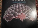 RAMP FUNK / SOUL LP - COME INTO KNOWLEDGE - ROY AYERS PRODUCTION - BLUE THUMB