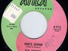 HEAR Eye Zooms-She’s Gone  Desperate 65 Toledo OH moody ballad with cool break