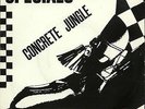 CONCRETE JUNGLE BY THE SPECIALS - DUTCH PS 7 / 45 HARD TO FIND AND UNPLAYED 