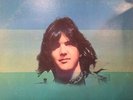Grievous Angel by Gram Parsons 1974 Vinyl Reprise Records Emmylou Harris MS 2171