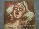 Disastrous Murmur - rhapsodies In Red lp 1st pressing 1992