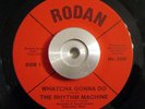 Soul/Funk 45 Rhythm Machine Whatcha Gonna Do/Freakish Love RODAN NM Original