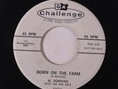 AL DOWNING: Down On The Farm / Oh Babe 45 (dj) rare Rockabilly