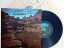 DAVID CHALMERS: Looking For Water LP private heavy psych hear