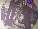 SEGALL, Ty/WHITE FENCE - Hair - LP