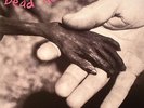 DEAD KENNEDYS - Plastic Surgery Disasters - grey vinyl gatefold LP