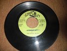 THE HIPPY BOYS    PICADILLY HOP    NIGERIA    RARE INSTRUMENTAL REGGAE