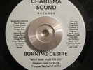 Rare Soul/Funk 45 Burning Desire Why She Had To Go CHARISMA SOUND NM Original