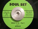 Heavy Bay Area Soul/Funk 45 Apollis - What It Is SOUL SET SS 102 NM ORIG SF, CA