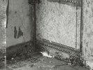 Clean Hands Go Foul [LP] by Khanate (Vinyl, Apr-2009, Hydra Head Records)