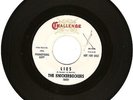 60'S GARAGE- THE KNICKERBOCKERS- 