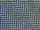 ANIMAL COLLECTIVE- Merriweather Post Pavillion- SS 2LP