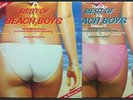 BEACH BOYS Very Best Of The Beach Boys Volume 1 & 2 2LP nMINT UK 1983