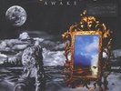 Dream Theater - Awake Vinyl EU 2LP
