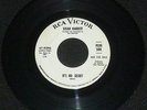 NORTHERN SOUL Susan Barrett - What's It Gonna Be / it's No Secret - RCA Demo