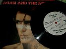 SIGNED-AUTOGRAPH-ADAM ANT-7