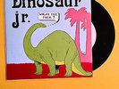 Dinosaur jr 7