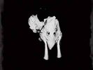 Sigur Ros - Kveikur Vinyl 2LP + CD NEU